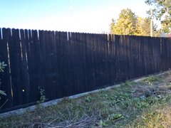 Ciolpani, sat Izvorani